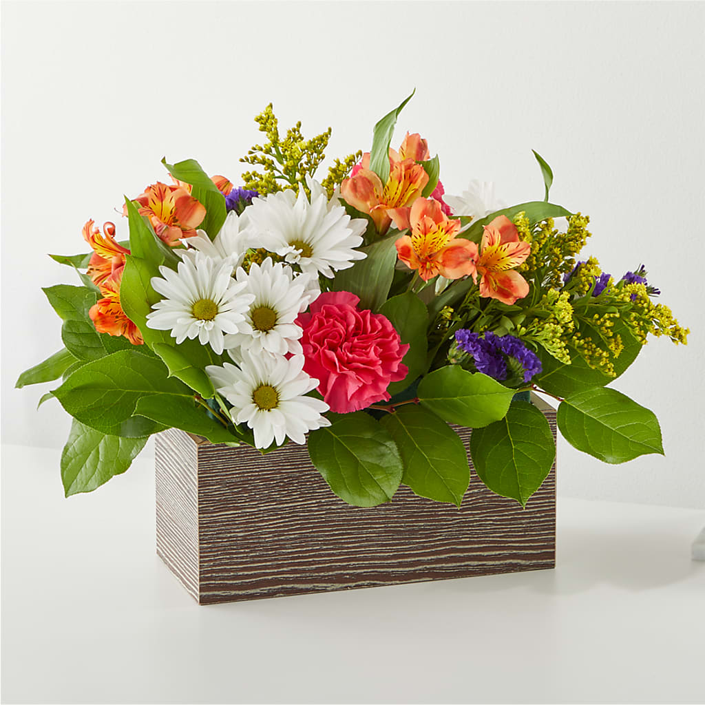 Oopsie Daisy Box Bouquet – DOMINO'S BLOOMS, Granbury TX