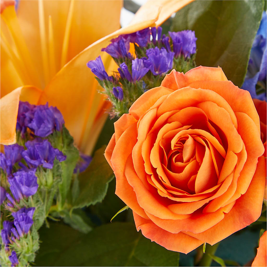 Radiant Citrus Box Bouquet – DOMINO'S BLOOMS, Granbury TX