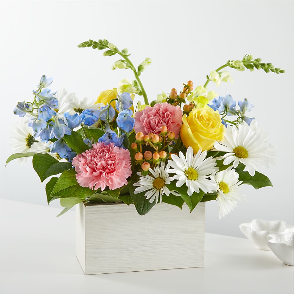 Sun Salutation Box Bouquet – DOMINO'S BLOOMS, Granbury TX