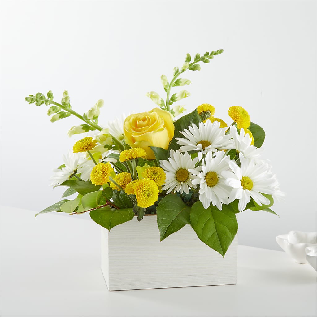 Sun Salutation Box Bouquet – DOMINO'S BLOOMS, Granbury TX