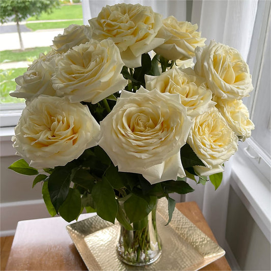 Long Stem Yellow Rose Bouquet – DOMINO'S BLOOMS, Granbury TX