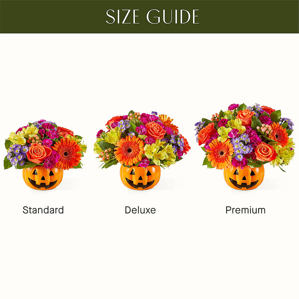 Tricks & Treats Pumpkin – DOMINO'S BLOOMS, Granbury TX