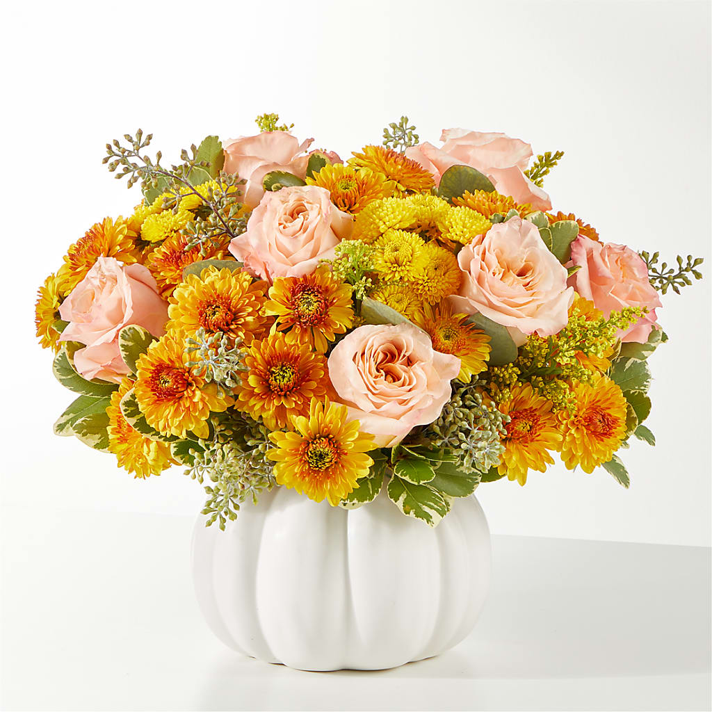 Peachy Pumpkin – DOMINO'S BLOOMS, Granbury TX