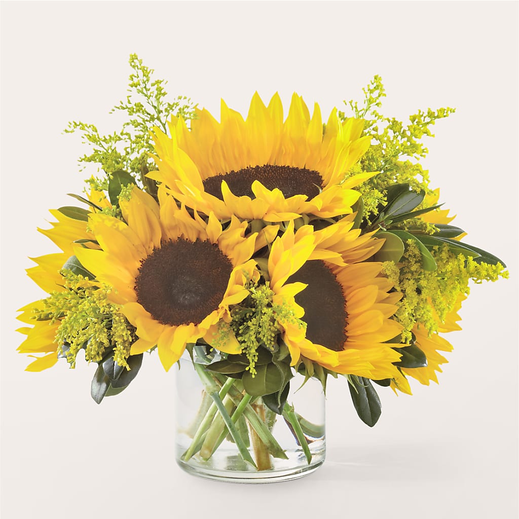 Beaming Sunflower Bouquet – DOMINO'S BLOOMS, Granbury TX
