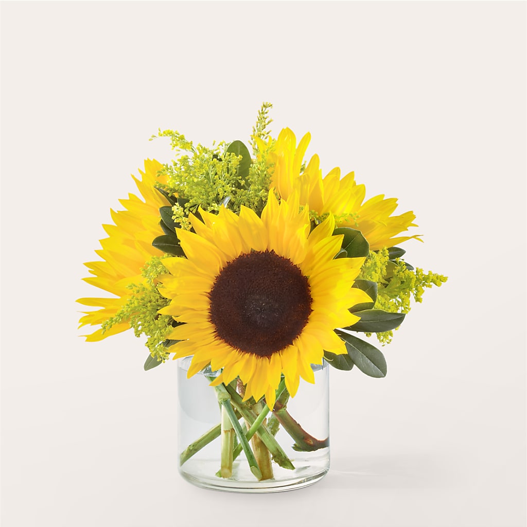 Beaming Sunflower Bouquet – DOMINO'S BLOOMS, Granbury TX