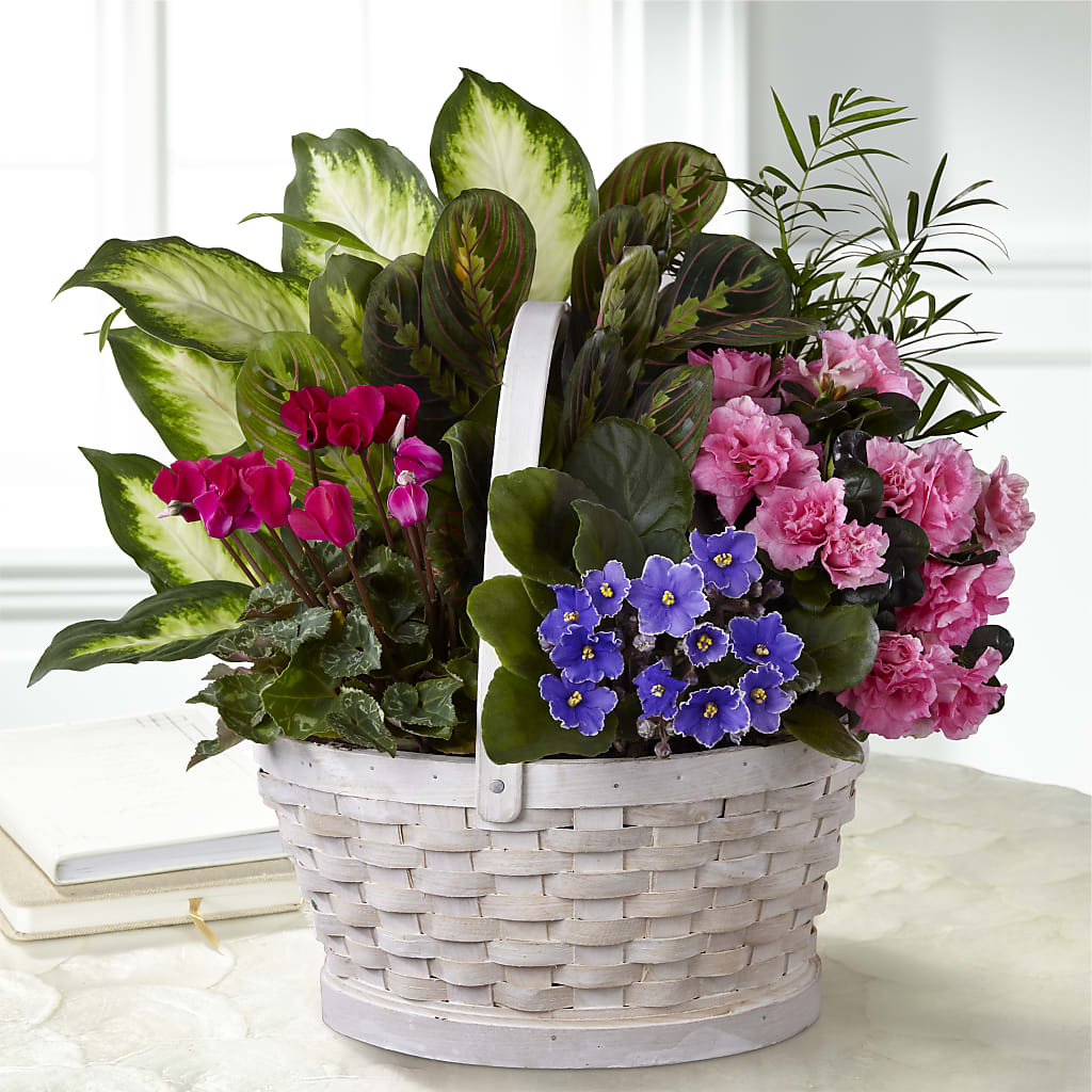 Peaceful Garden Planter – DOMINO'S BLOOMS, Granbury TX
