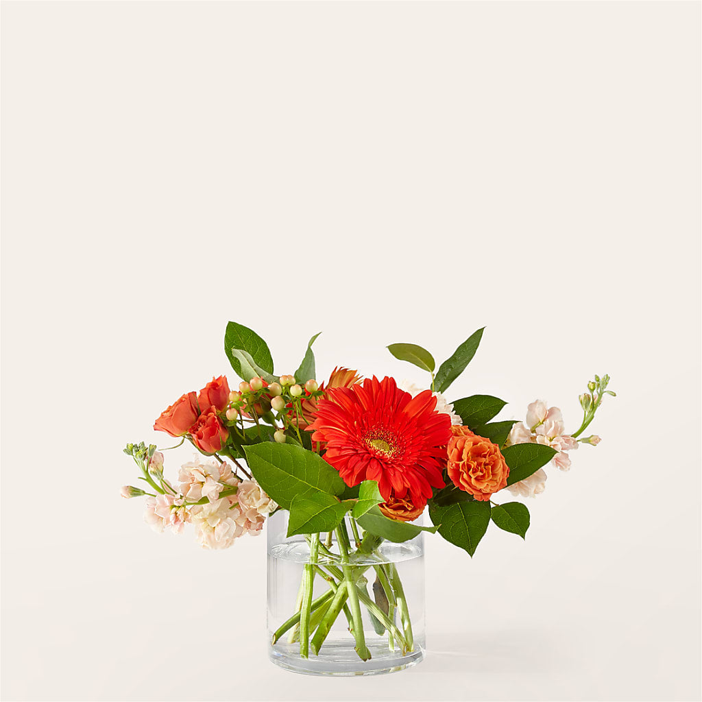 Paloma Please Bouquet – DOMINO'S BLOOMS, Granbury TX