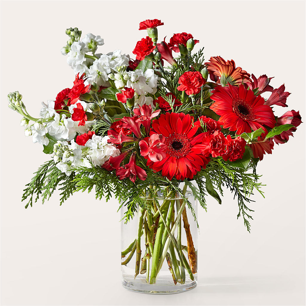 Holidaisy Bouquet – DOMINO'S BLOOMS, Granbury TX