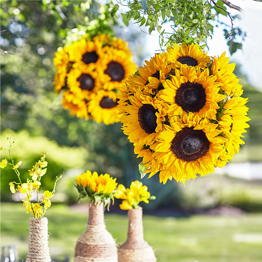 Sublime Garden Hanging Arrangement – DOMINO'S BLOOMS, Granbury TX