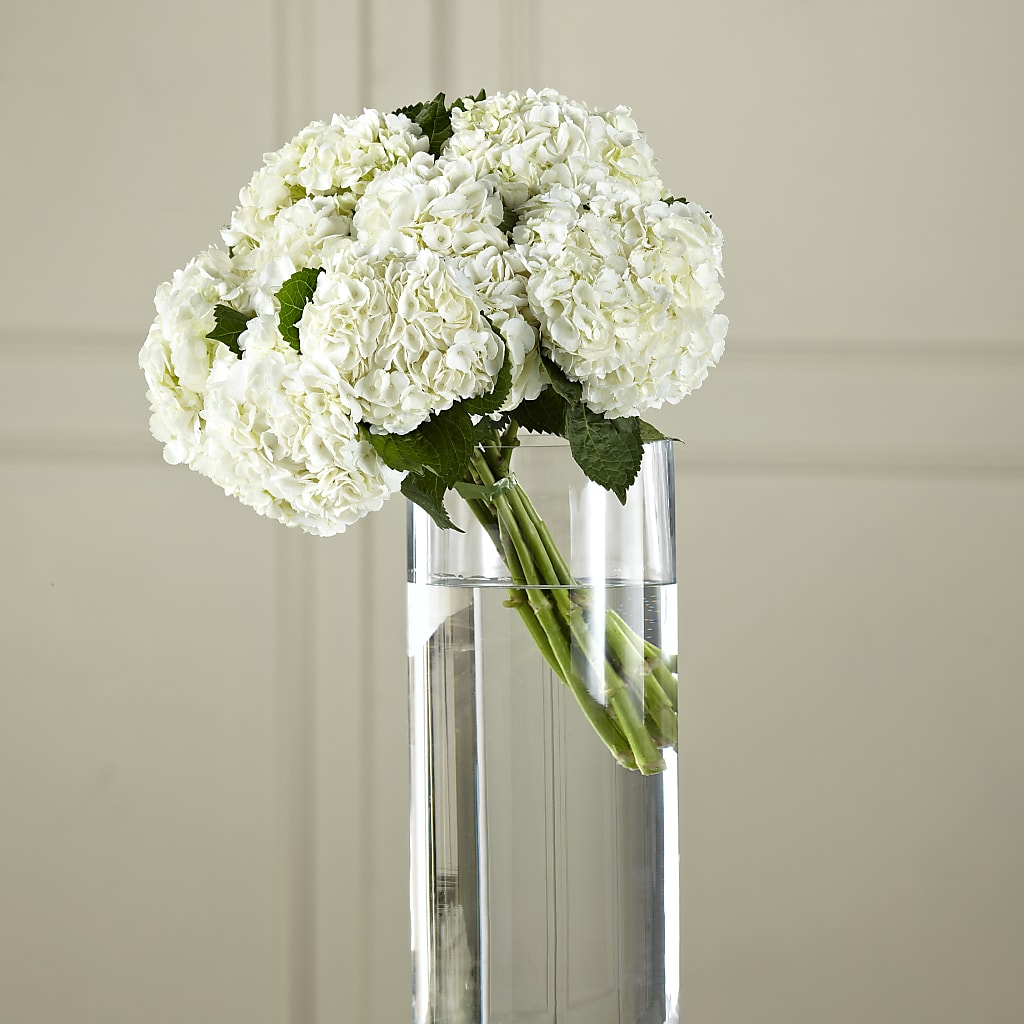 White Hydrangea Hand-Tied Bouquet – DOMINO'S BLOOMS, Granbury TX