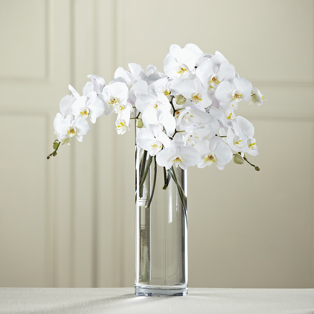 White Phalaenopsis Bouquet – DOMINO'S BLOOMS, Granbury TX