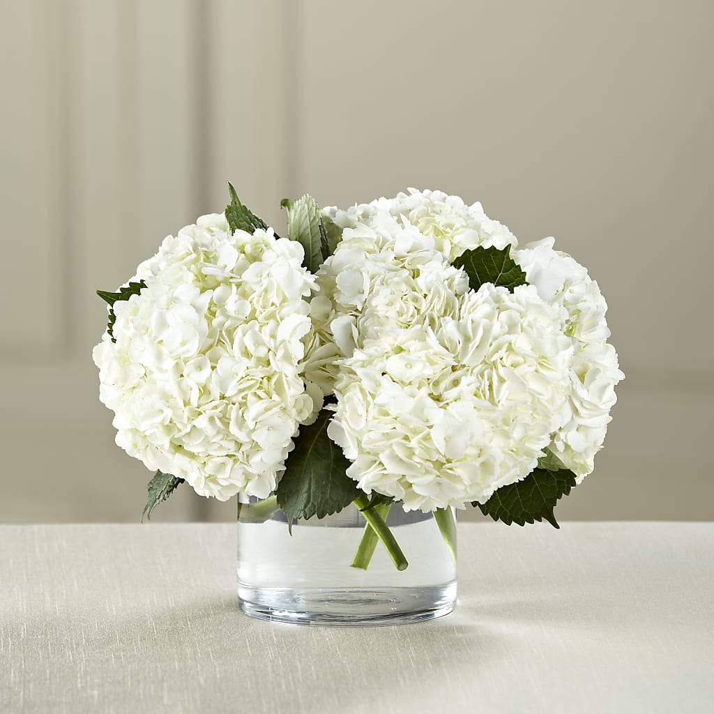 White Hydrangea Bouquet – DOMINO'S BLOOMS, Granbury TX