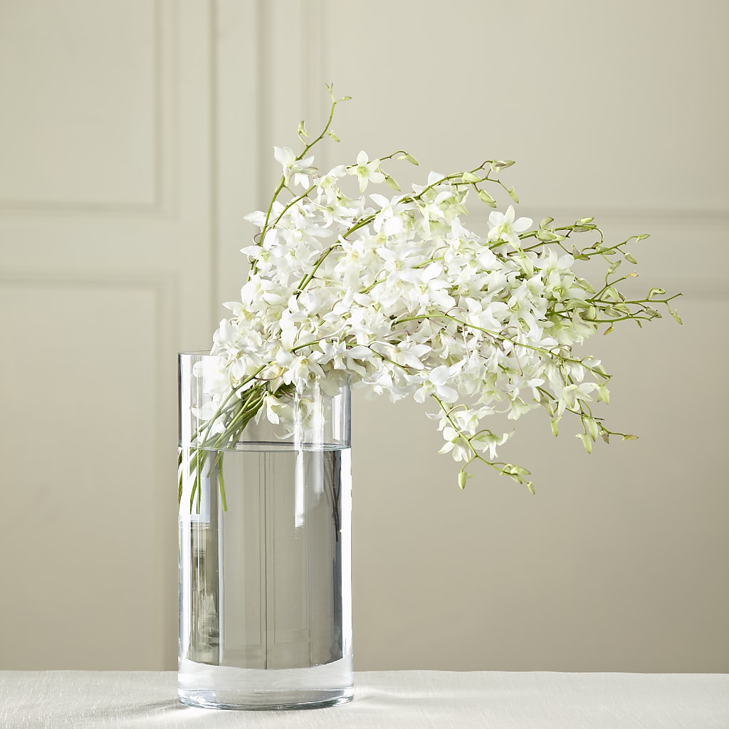 White Dendrobium Bouquet – DOMINO'S BLOOMS, Granbury TX
