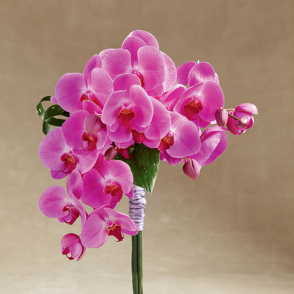 Glorious Bouquet – DOMINO'S BLOOMS, Granbury TX