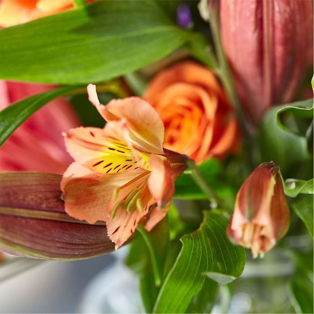 Bold & Bright – A Florist Original – DOMINO'S BLOOMS, Granbury TX