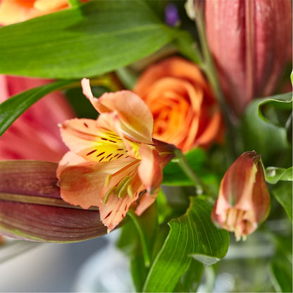 Bold & Bright – A Florist Original – DOMINO'S BLOOMS, Granbury TX