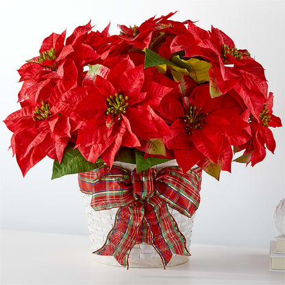 Happiest Holidays Poinsettia – DOMINO'S BLOOMS, Granbury TX