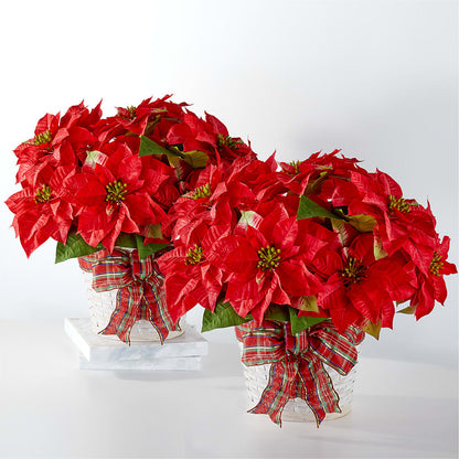 Happiest Holidays Poinsettia Bundle – DOMINO'S BLOOMS, Granbury TX