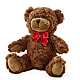 Adorable Plush Bear – DOMINO'S BLOOMS, Granbury TX