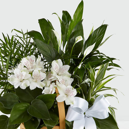 Peace & Serenity Dishgarden – DOMINO'S BLOOMS, Granbury TX