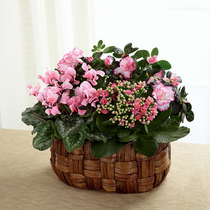Pink Assortment – DOMINO'S BLOOMS, Granbury TX