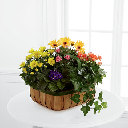 Gentle Blossoms Basket – DOMINO'S BLOOMS, Granbury TX