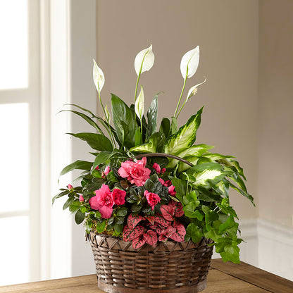 Dream in Pink Dishgarden – DOMINO'S BLOOMS, Granbury TX