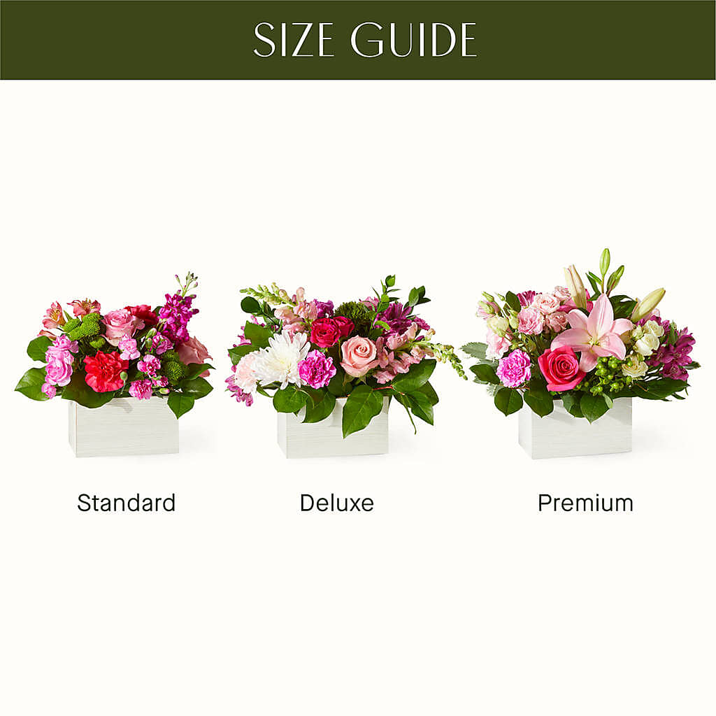Sweetberry Box – A Florist Original – DOMINO'S BLOOMS, Granbury TX