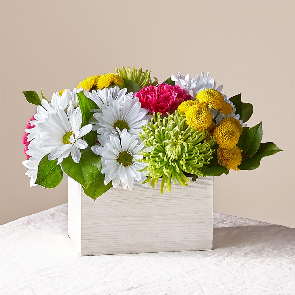 Sorbet Bouquet – DOMINO'S BLOOMS, Granbury TX
