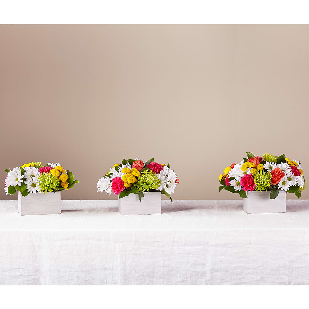 Sorbet Bouquet – DOMINO'S BLOOMS, Granbury TX