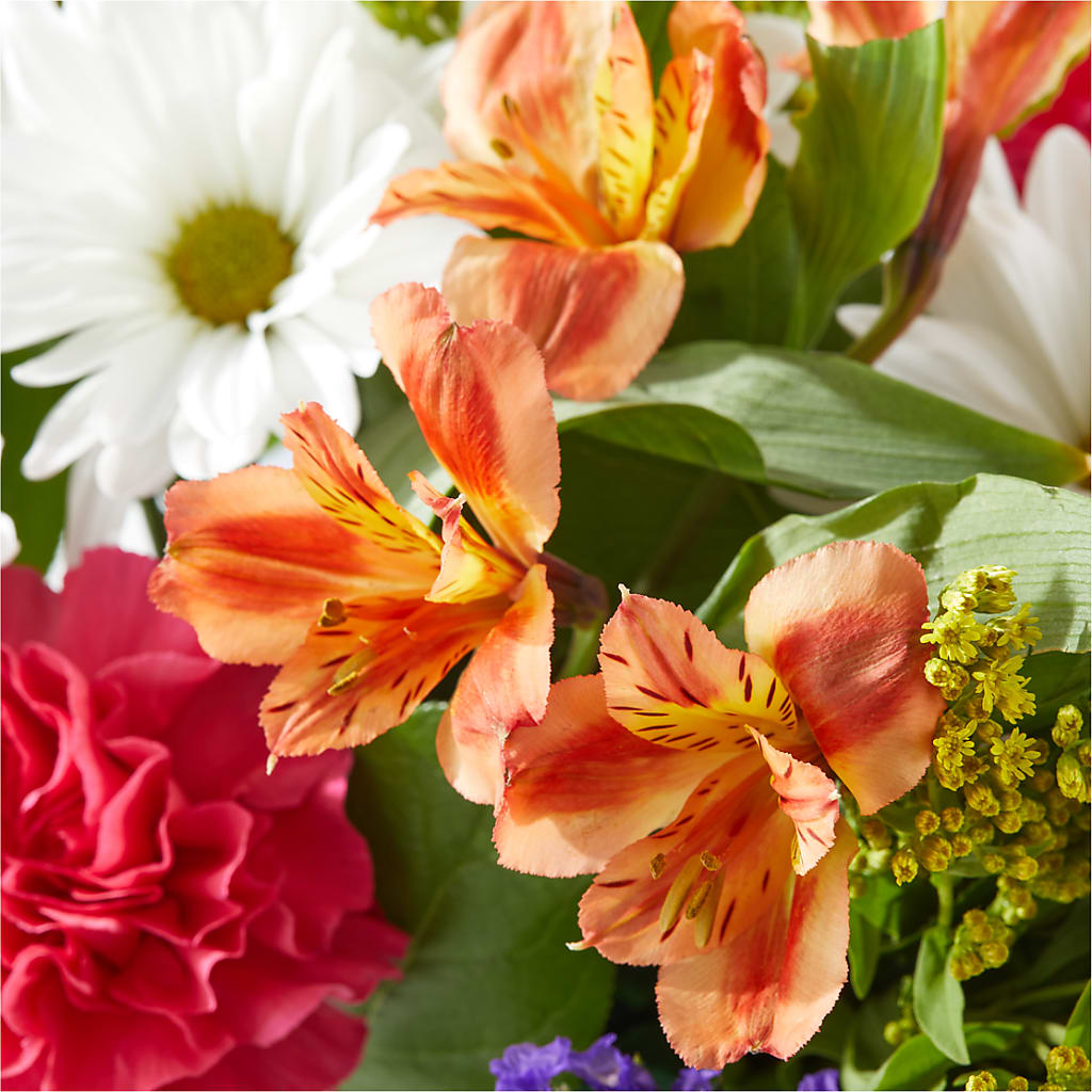Oopsie Daisy Box Bouquet – DOMINO'S BLOOMS, Granbury TX
