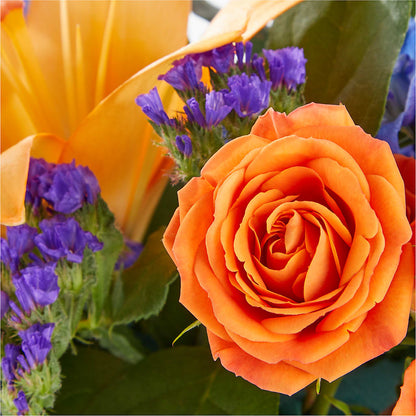 Radiant Citrus Box Bouquet – DOMINO'S BLOOMS, Granbury TX