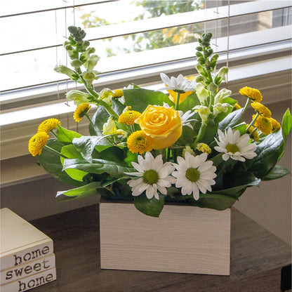 Sun Salutation Box Bouquet – DOMINO'S BLOOMS, Granbury TX