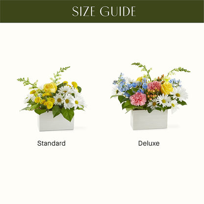 Sun Salutation Box Bouquet – DOMINO'S BLOOMS, Granbury TX