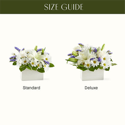 Beyond Blue Box Bouquet – DOMINO'S BLOOMS, Granbury TX