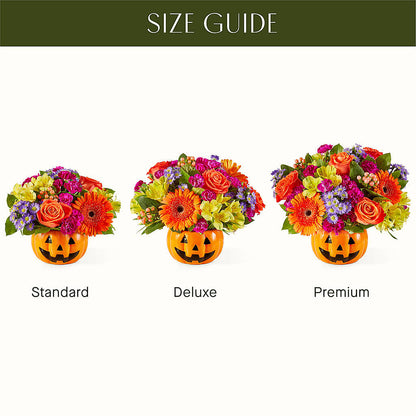 Tricks & Treats Pumpkin – DOMINO'S BLOOMS, Granbury TX
