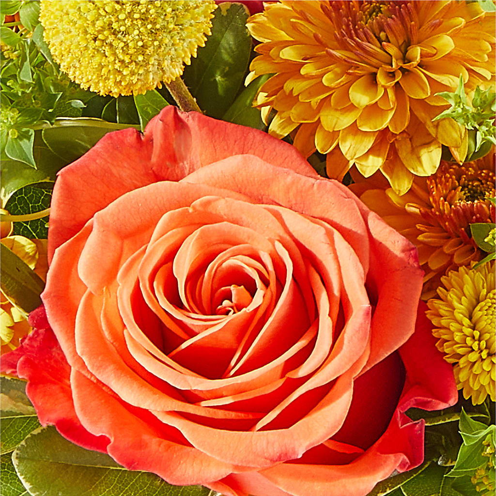 Gourdgeous Pumpkin – DOMINO'S BLOOMS, Granbury TX