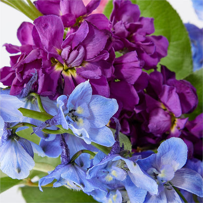 Twilight Glow Bouquet – DOMINO'S BLOOMS, Granbury TX