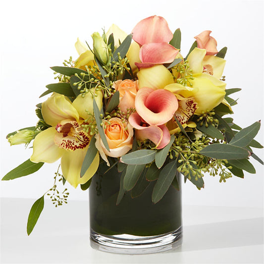 The Visionary – DOMINO'S BLOOMS, Granbury TX