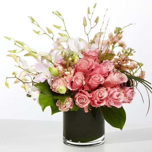The Muse – DOMINO'S BLOOMS, Granbury TX