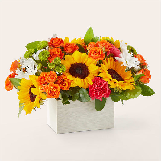 Sun-drenched Blooms Box Bouquet – DOMINO'S BLOOMS, Granbury TX
