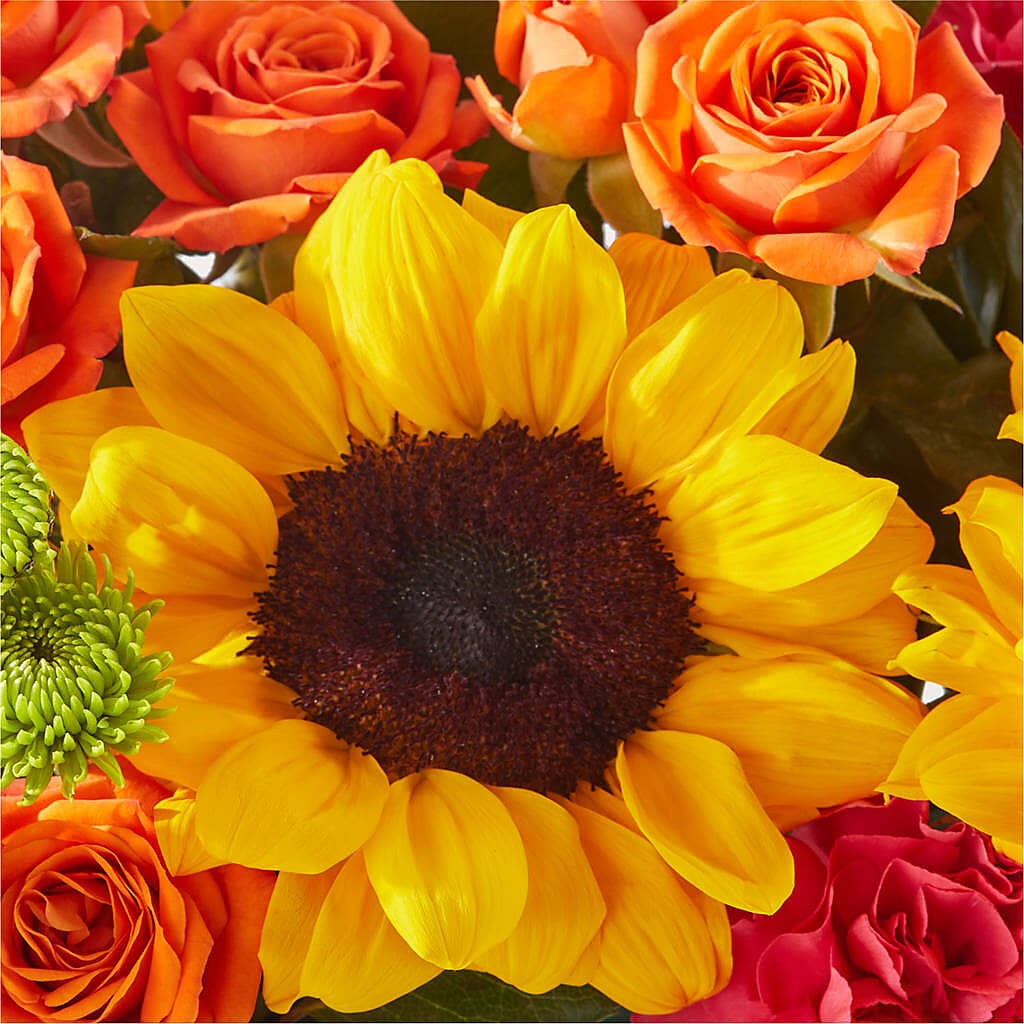 Sun-drenched Blooms Box Bouquet – DOMINO'S BLOOMS, Granbury TX