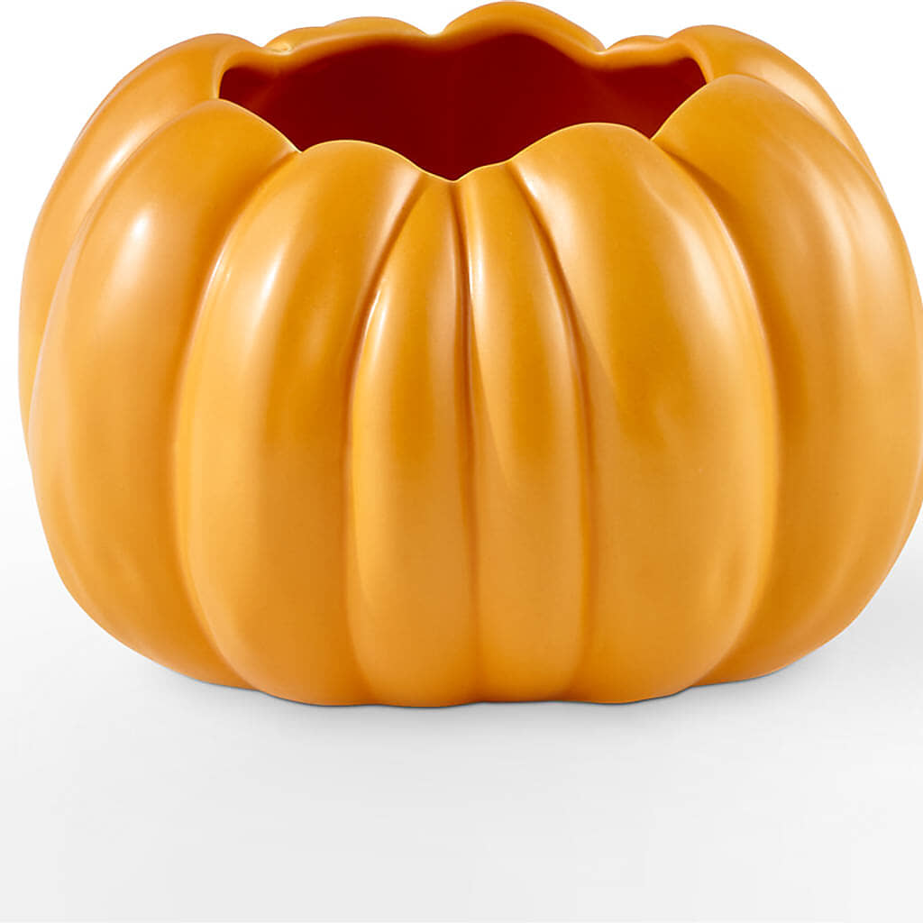 Golden Gourd Pumpkin Bouquet – DOMINO'S BLOOMS, Granbury TX