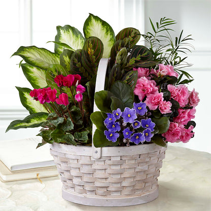 Peaceful Garden Planter – DOMINO'S BLOOMS, Granbury TX