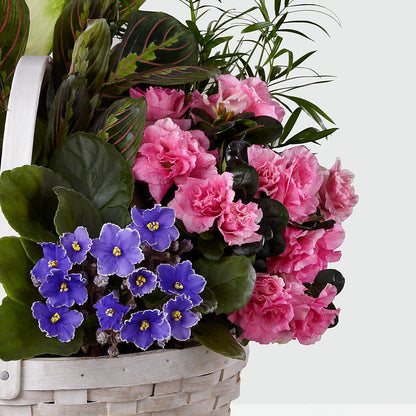 Peaceful Garden Planter – DOMINO'S BLOOMS, Granbury TX