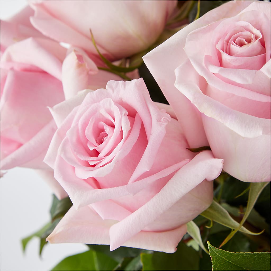 Picture Perfect Pink Rose Bouquet – DOMINO'S BLOOMS, Granbury TX