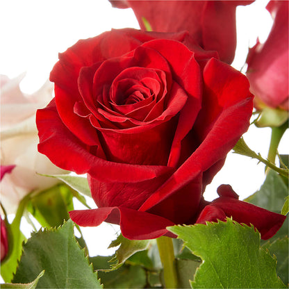 Love Notes Rose Bouquet – DOMINO'S BLOOMS, Granbury TX