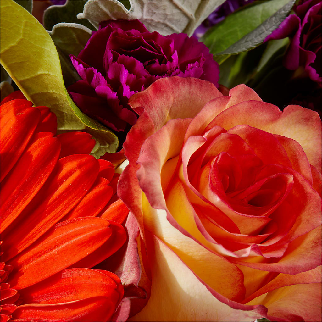 Sangria Bouquet – DOMINO'S BLOOMS, Granbury TX