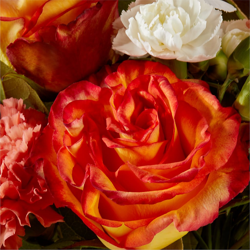 Apricot Glow Bouquet – DOMINO'S BLOOMS, Granbury TX