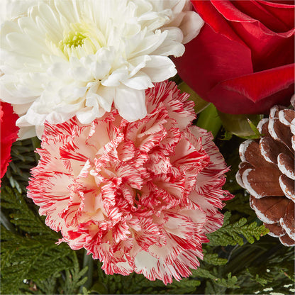 Candy Cane Lane Bouquet – DOMINO'S BLOOMS, Granbury TX